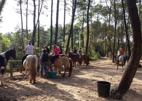 garden-tennis-club-sortie-cheval